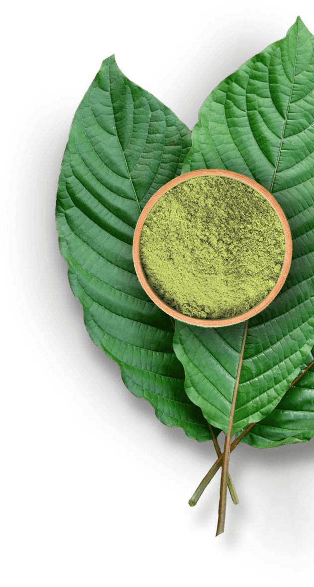 Kratom Leaves.